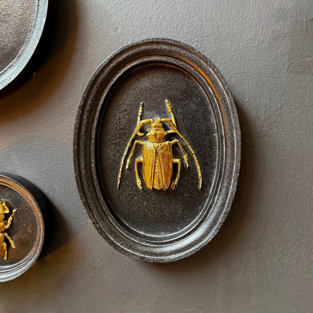 Gold & Black Beetle Wall Decor Plaque – Medium