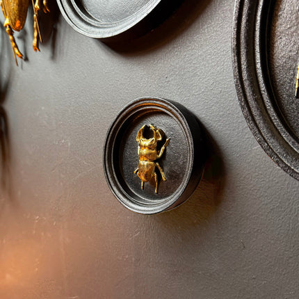 Gold & Black Beetle Wall Decor Plaque - (Various Sizes)