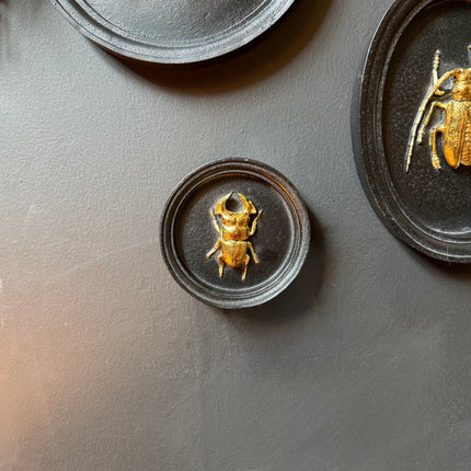 Gold & Black Beetle Wall Decor Plaque - (Various Sizes)