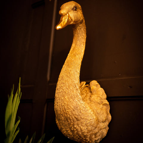 Golden Swan Head