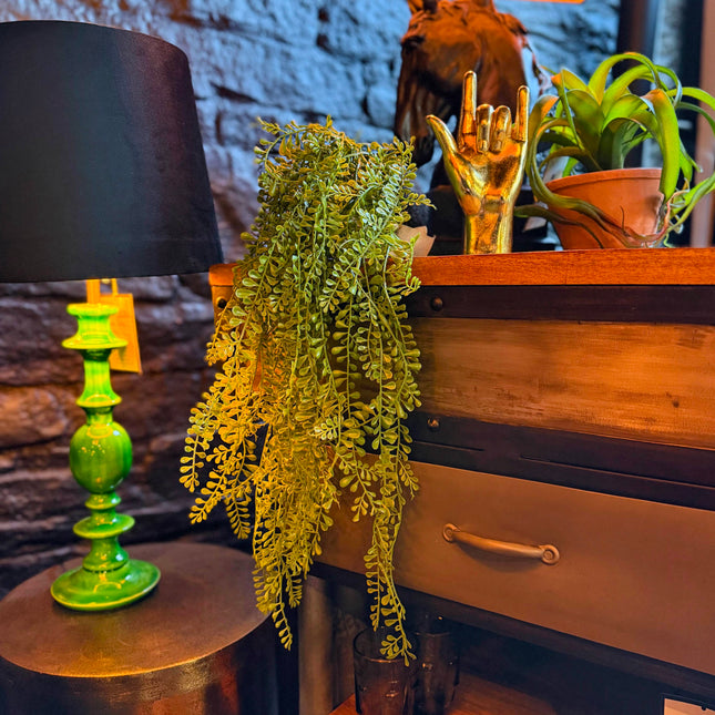 Hanging Airplant Vine