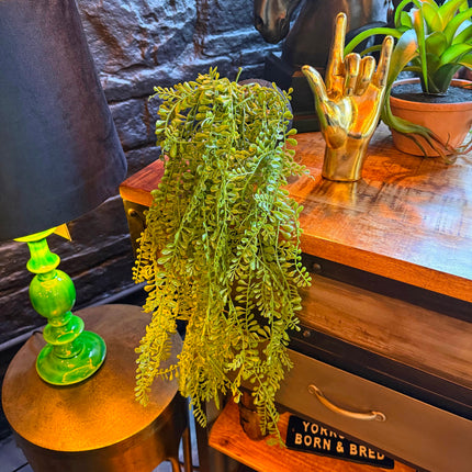 Hanging Airplant Vine