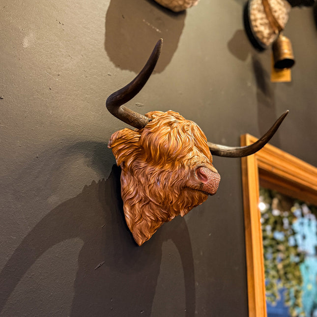 Highland Cow Head