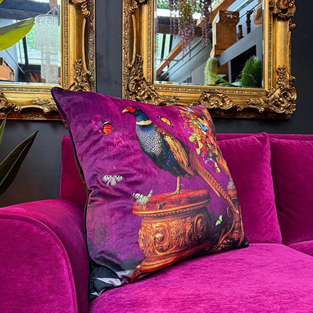 Cushion Scatter in Standing Pheasant Velvet (Feather Filled) - 60 x 60cm