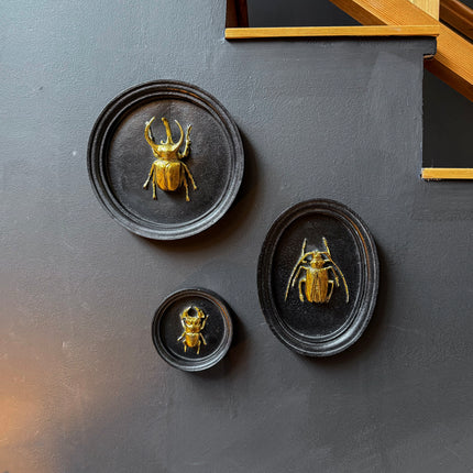 Gold & Black Beetle Wall Decor Plaque - (Various Sizes)