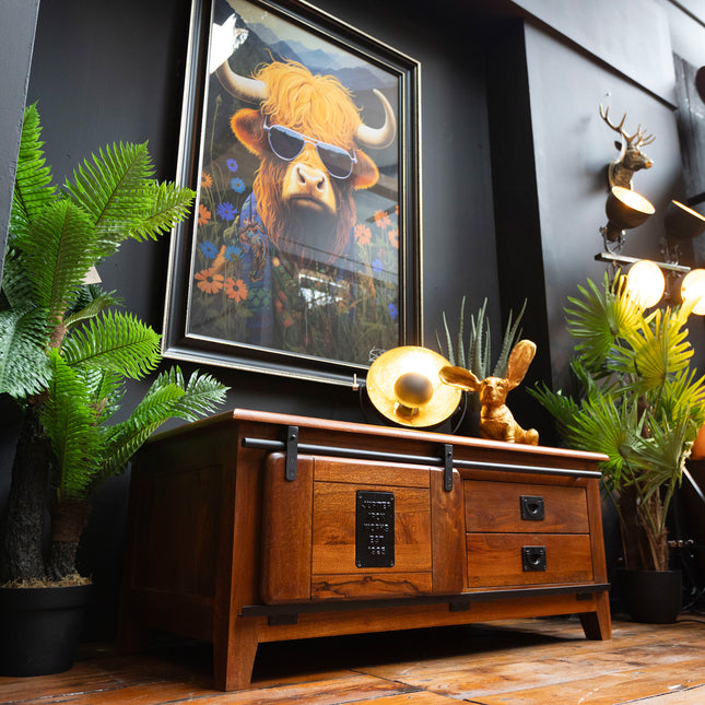 Jupiter Medium TV Mango Wood Cabinet