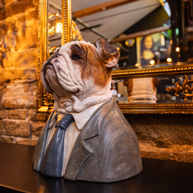 Large Dressed Up Bulldog Bust