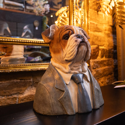 Large Dressed Up Bulldog Bust
