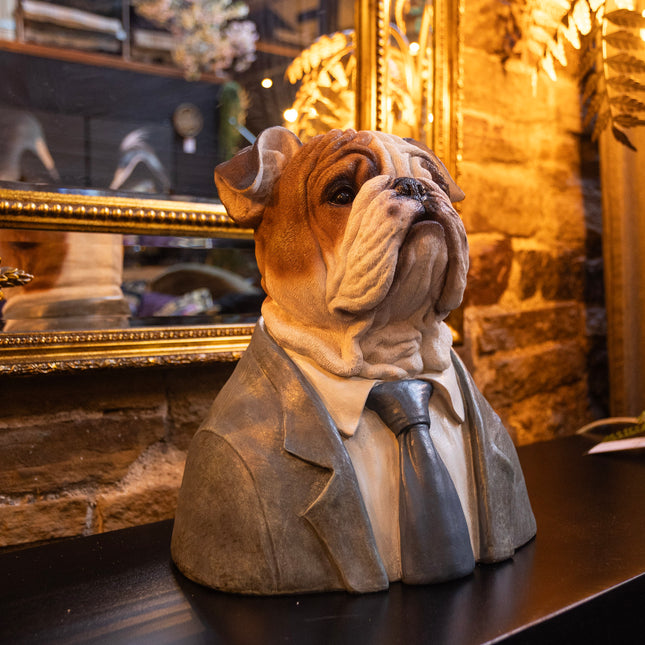Large Dressed Up Bulldog Bust
