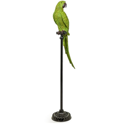 Large Green Parrot On Floor Standing Perch