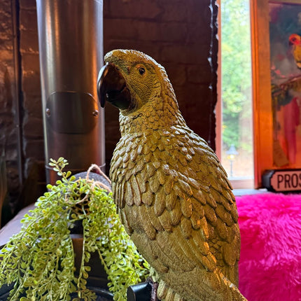 Large Green Parrot On Floor Standing Perch