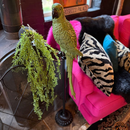 Large Green Parrot On Floor Standing Perch