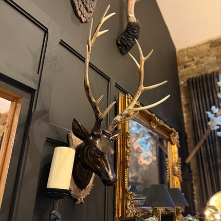 Large Stag Head