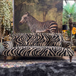 Zebra Cream Stripe