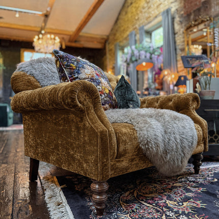 Mayfair in Sunshine Velvet