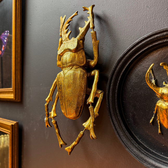 Medium Gold Beetle Wall Decor
