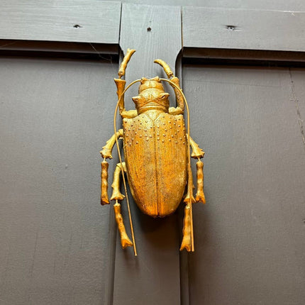 Medium Gold Beetle Wall Decor