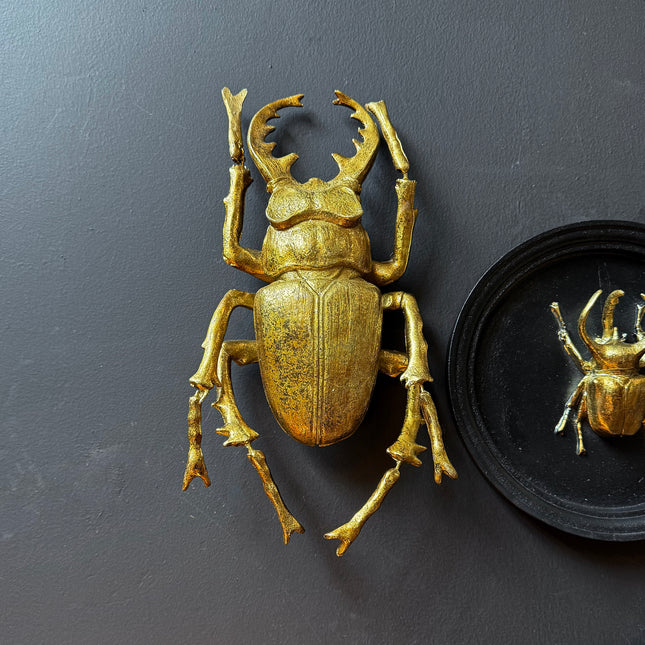 Medium Gold Beetle Wall Decor
