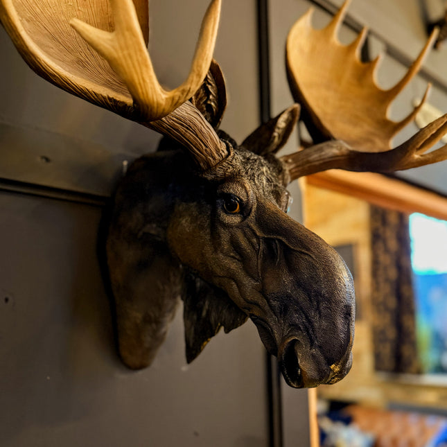 Large Moose Wall Head