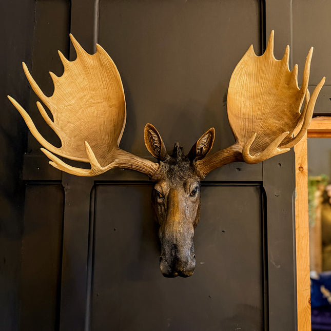 Large Moose Wall Head
