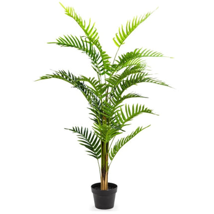 Ornamental Fern Tree in Black Pot 120cm
