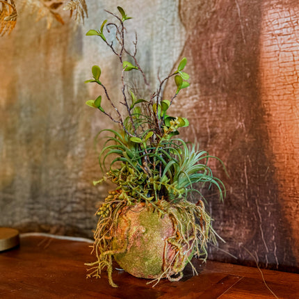 Ornamental Hanging Moss Ball with Ferns