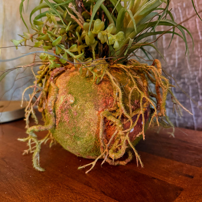 Ornamental Hanging Moss Ball with Ferns