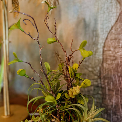 Ornamental Hanging Moss Ball with Ferns