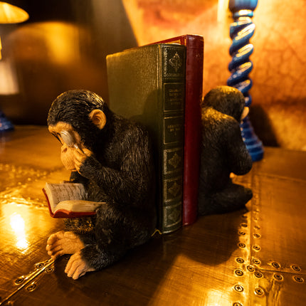 Pair Of Reading Monkeys Bookends