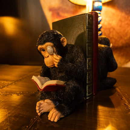 Pair Of Reading Monkeys Bookends