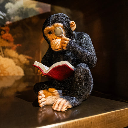Pair Of Reading Monkeys Bookends