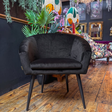 Peter Dining Chair in Black Ebony Velvet 