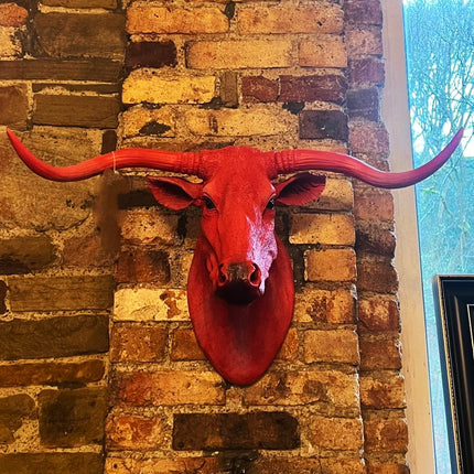 Animal Wall Head