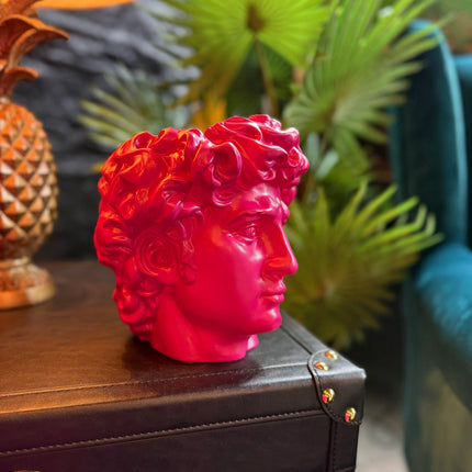 Pink Classical Greek Head Planter