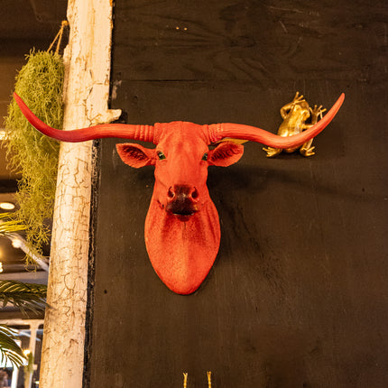 Pink Steer Wall Head