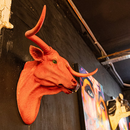 Pink Steer Wall Head