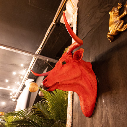 Pink Steer Wall Head