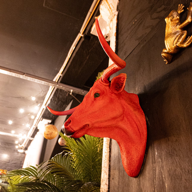 Pink Steer Wall Head