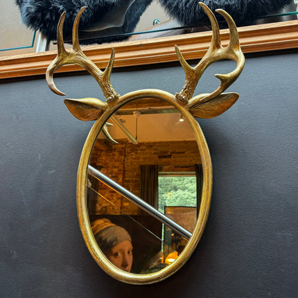Resin Deer Horn Wall Mirror