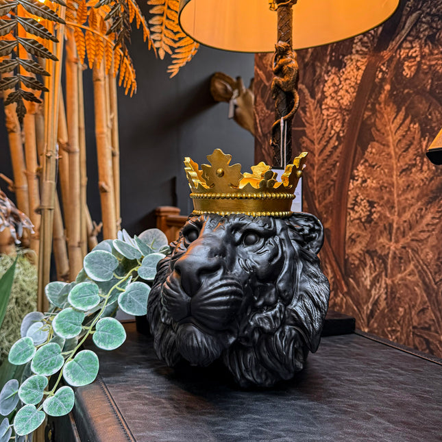 Royal Lion Head