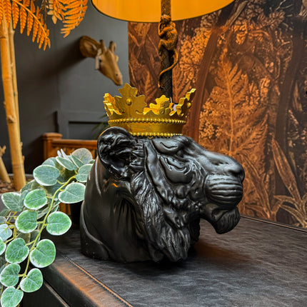 Royal Lion Head