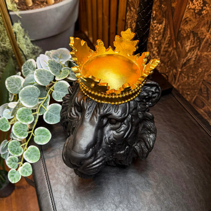 Royal Lion Head