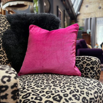 Scatter Cushion in Opulence Velvet (Various Colours)