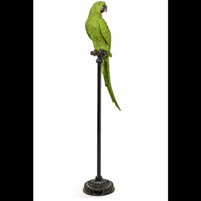 Large Green Parrot On Floor Standing Perch