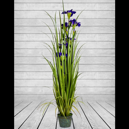 Ornamental Grasses in Galvenised in Pot Blue 170cm