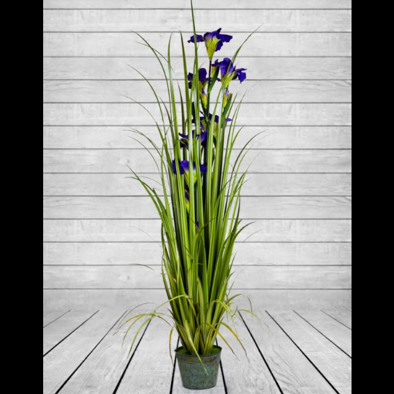 Ornamental Grasses in Galvenised in Pot Blue 170cm