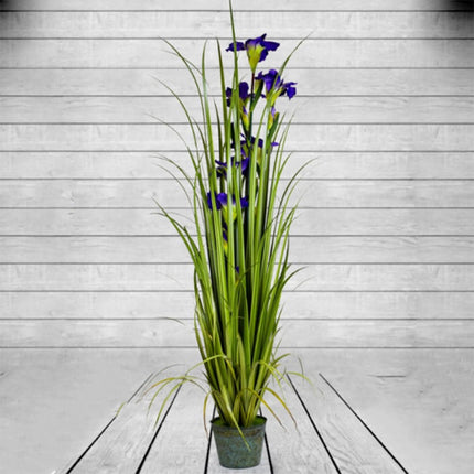 Ornamental Grass in Galvenised in Pot Blue 170cm - Clearance