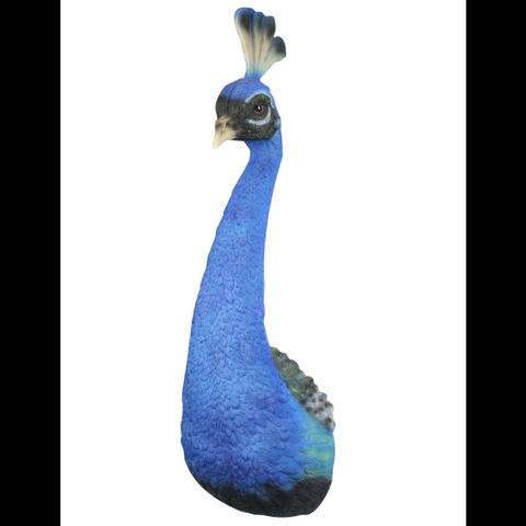 Blue Peacock Wall Head