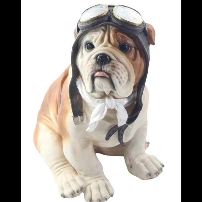 Bulldog Pilot