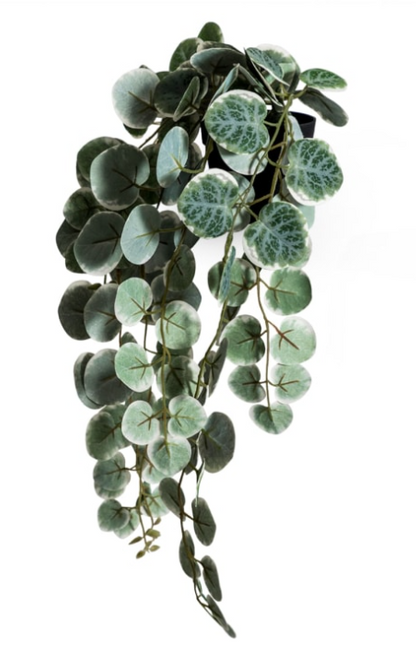 Ornamental Hanging "Chain of Hearts" in Black Pot - Clearance